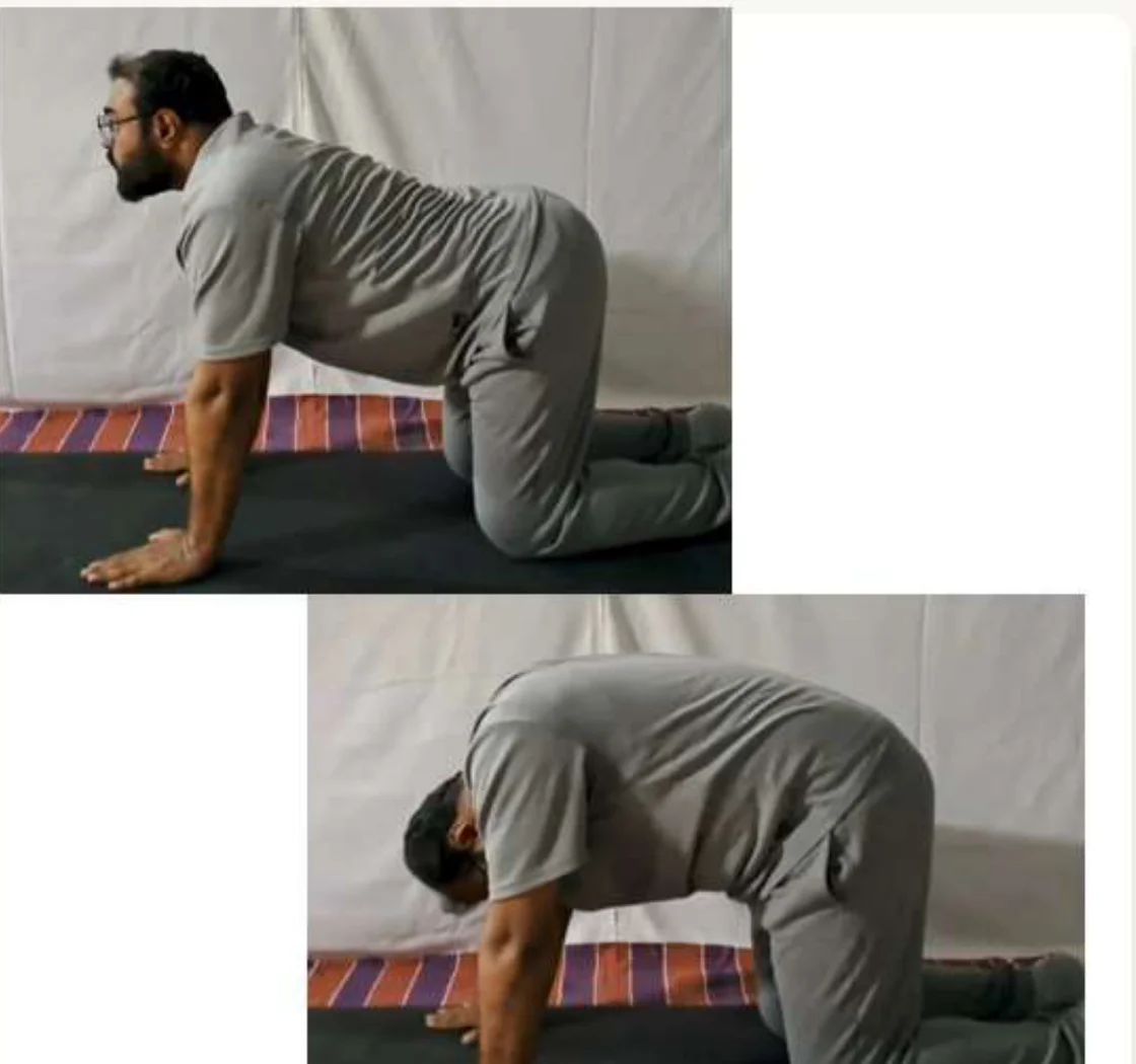 Cat Cow Stretch - Dr. Jigar Gajjar