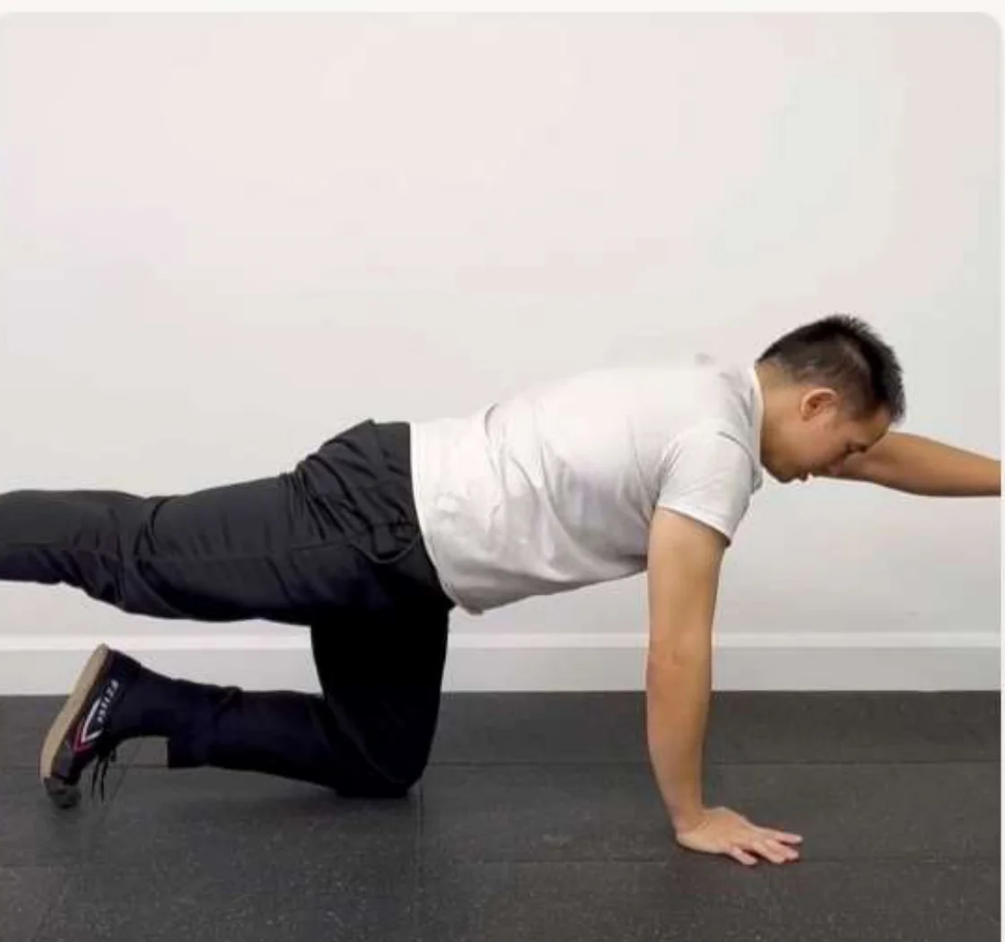 Bird Dog Exercise - Dr. Jigar Gajjar
